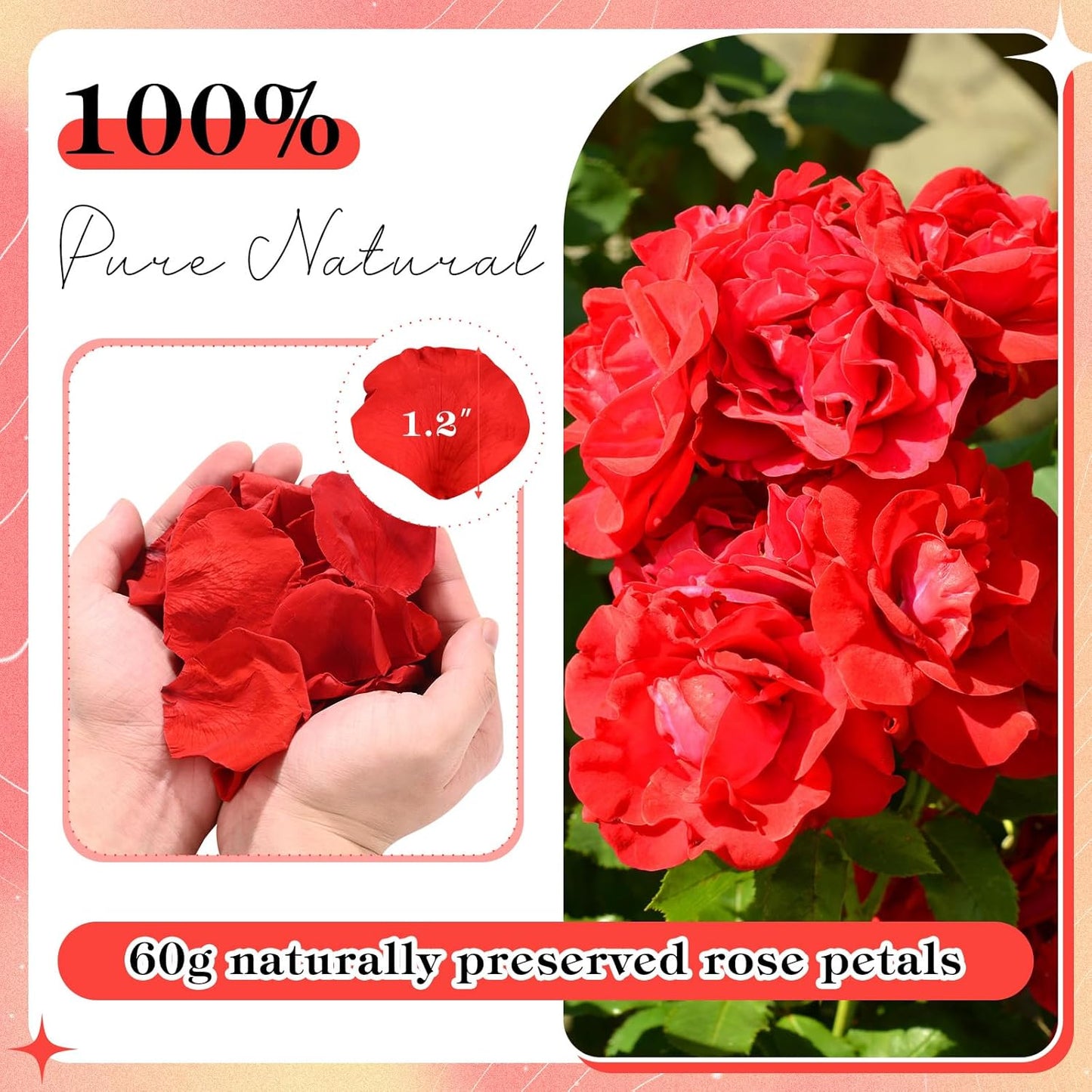 230 PCS Red Dired Rose Petals 2.1oz/60g Natural Real Rose Flower Petals for Wedding Aisle, Flower Girl Basket, Will You Marry Me, Valentines Day, Romantic Night, Proposal, Anniversary, Special Night