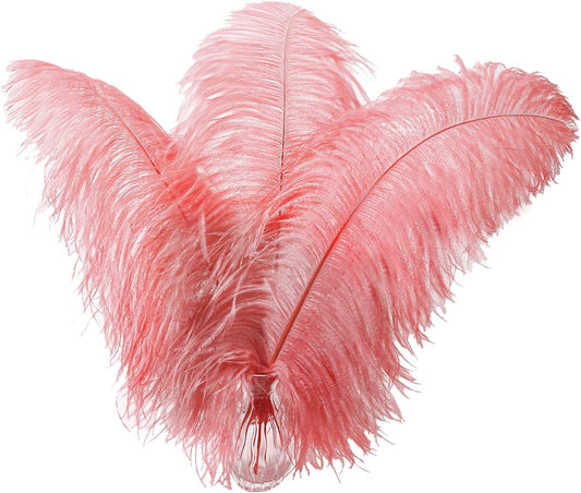 Larryhot Red Large Ostrich Feathers - 10pcs Feathers for Vase Decoration,Wedding Party Centerpieces and Home Decorations (Sunset Red)