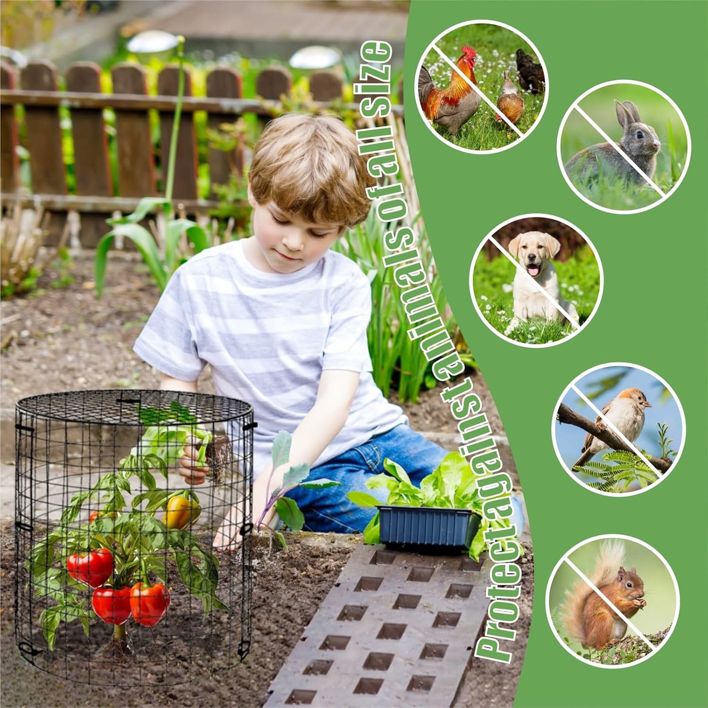 5 Packs Garden Plant Protectors from Animals,Metal Plant Cage Chicken Wire Cloche with Ground Stakes and Nylon Tie,Garden Plant Protectors for Flower Vegetable to Keep Animals Out-11.8"x 12.6"
