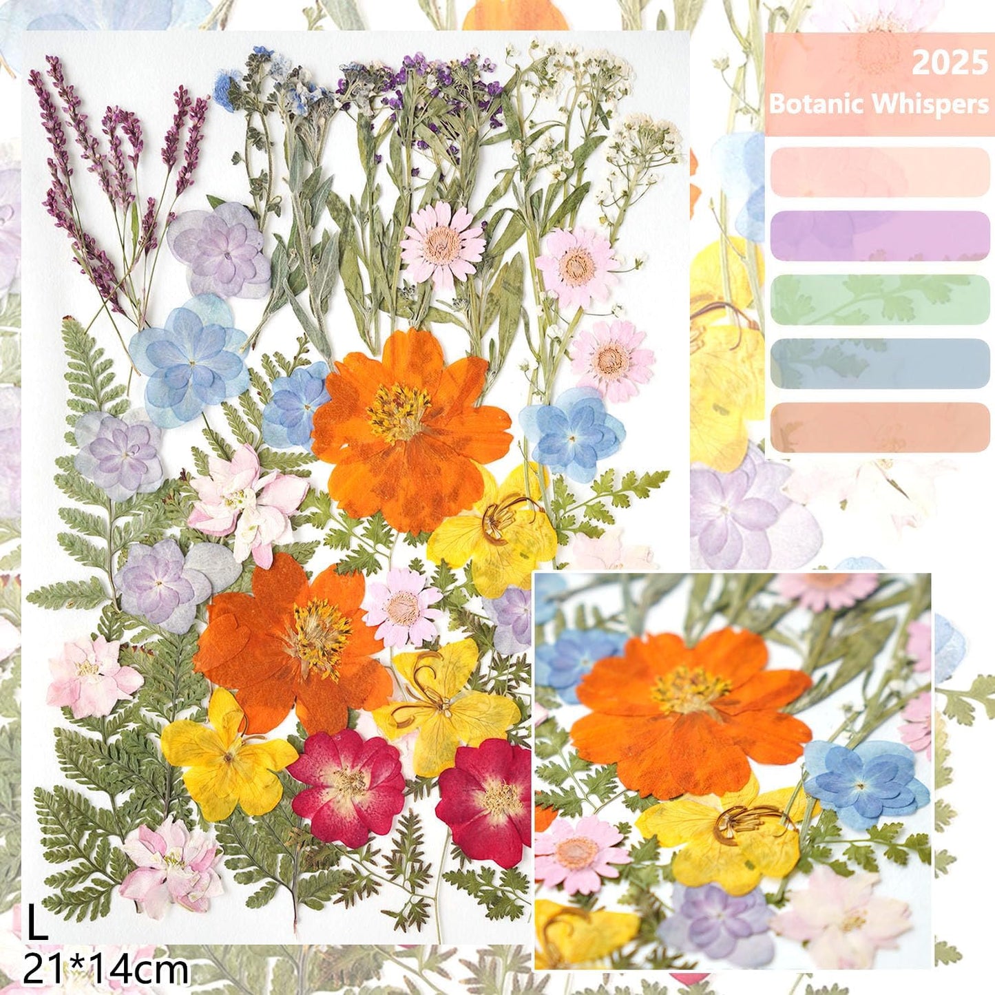 13Types 48Pcs Real Dried Pressed Flowers Leaf Plant Herbarium for Crafts Resin Jewelry Making, Baby in Bloom Baby Shower Floral Cake Decorations - Wildflowers