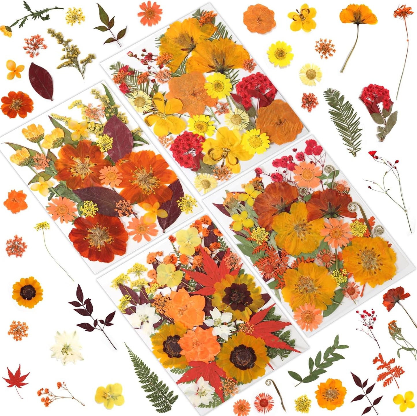 120 Pcs Dried Pressed Flowers for Crafts, Real Natural Flowers in Vibrant Yellow, Orange & Red Tones for Resin, DIY Art, Jewelry, Scrapbooking & Candle Making – Tweezers Included