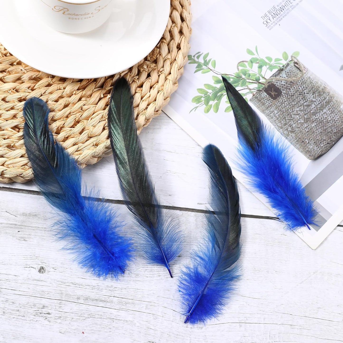SOGUGOM Blue Rooster Tail Feathers - 200 pcs 5-7 inch Craft Bulk Feathers for Craft Projects, Hats, Costume and Party(Royal Blue)