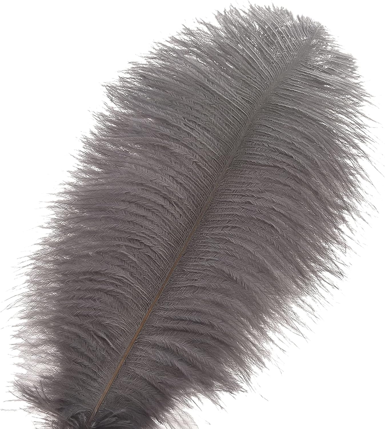 Ballinger Natural Gray Ostrich Feathers - 24pcs 10-12inch for Wedding Party Centerpieces Home Decor