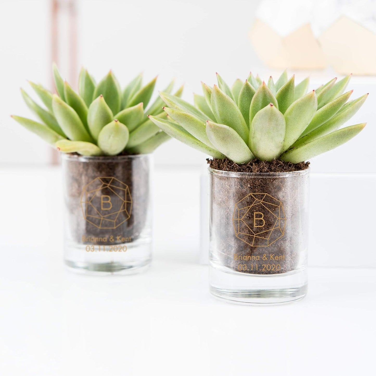 WEDDINGSTAR Personalized 2.75oz Shot Glass Customizable Full Color Print - 72 pack