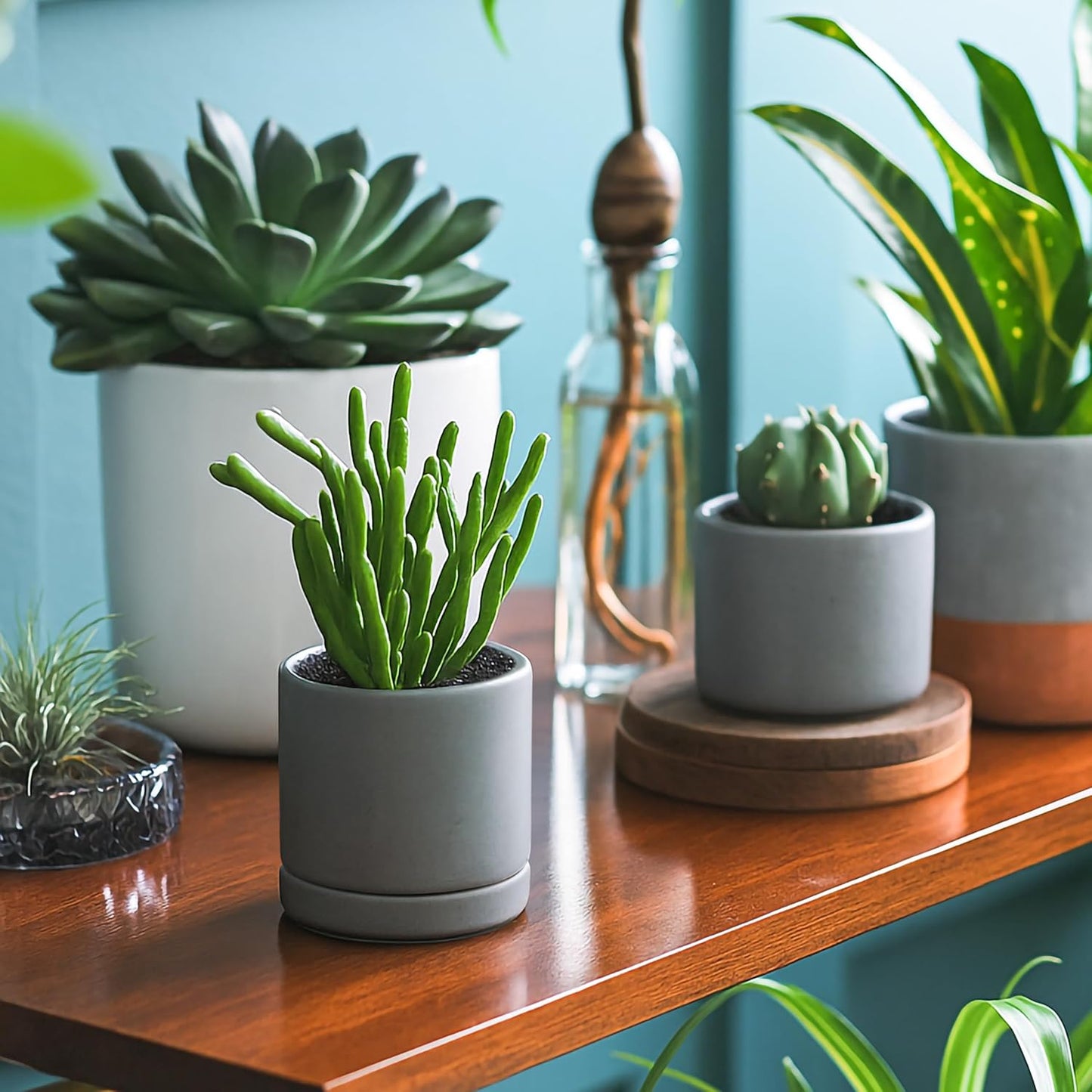 D'vine Dev Set of 4 Small Ceramic Plant Pots, 3.5 Inch Succulent Planter Pot for Plants with Drainage Hole and Saucer, Grey, 94-X-A-3