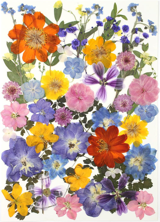 17 Types Retro Dried Pressed Flowers Leaf Plant Herbarium for DIY Resin Jewelry Making Floral Decors(Muti Color)