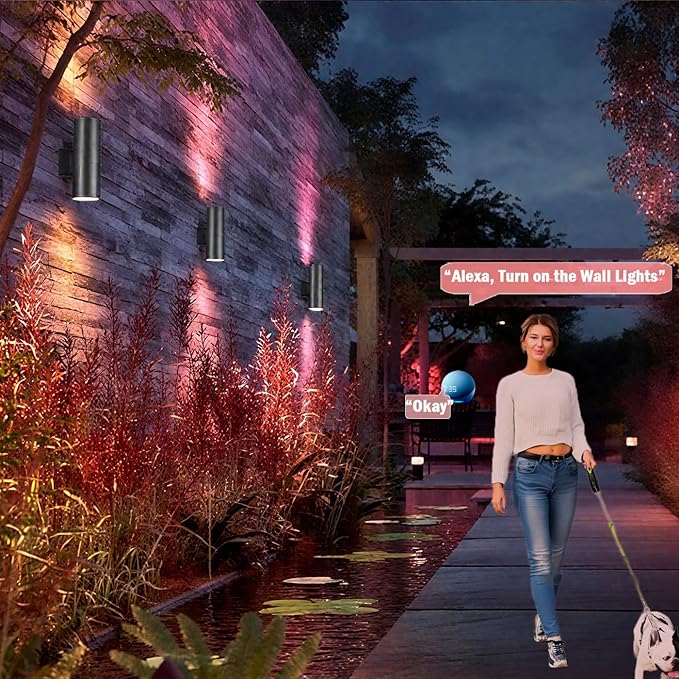 Bling RF Remote Control RGB Colour Changing Lighting LED Double Up and Down Outdoor Wall Light,White Temperature 2700k- 6500k RGB+CCT Exterior Wall Lighting (2 Pack)