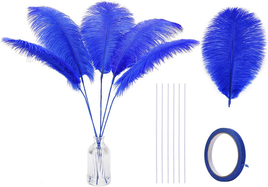 Holmgren Royal Blue Ostrich Feather - 20pcs Making Kit 22 Inch Large Ostrich Feathers for Vase, Floral Arrangement, Wedding Party Centerpieces Home Decorations (Royal Blue)