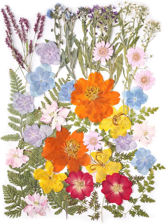 13Types 48Pcs Real Dried Pressed Flowers Leaf Plant Herbarium for Crafts Resin Jewelry Making, Baby in Bloom Baby Shower Floral Cake Decorations - Wildflowers