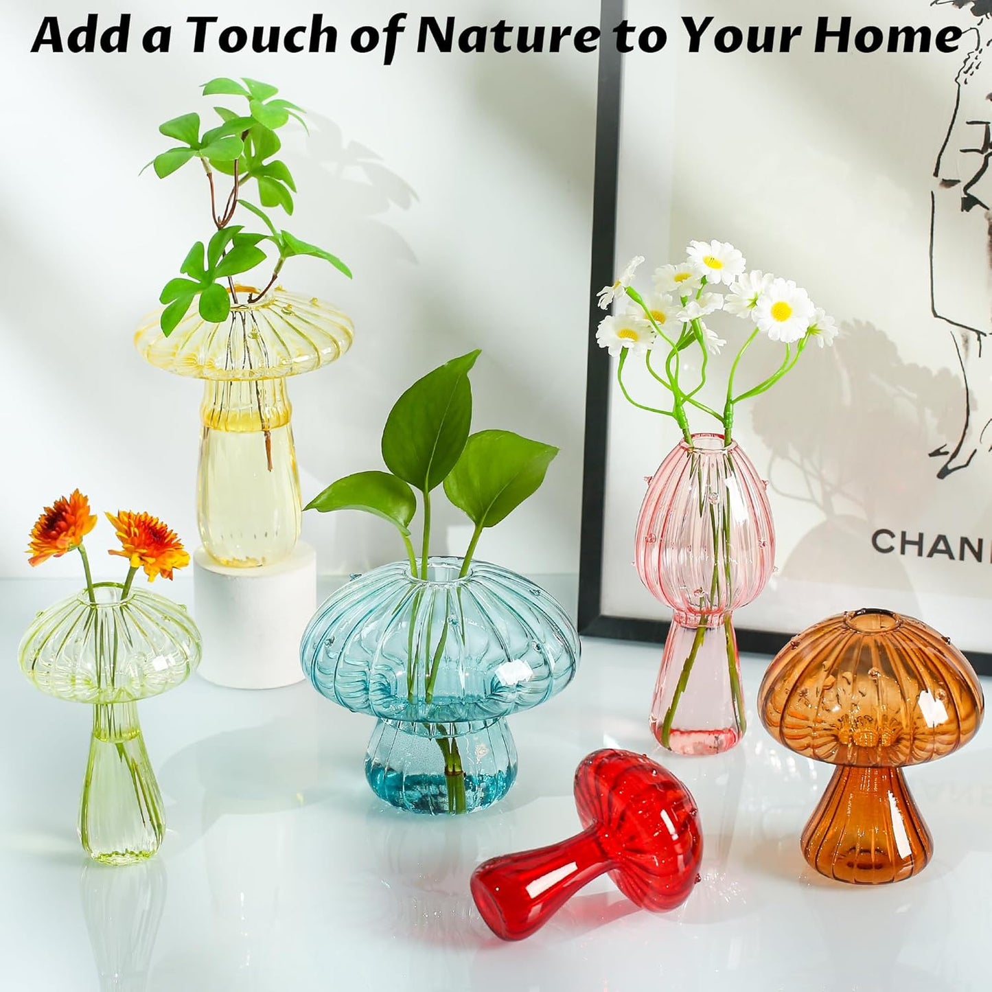 Plant Propagation Station, Set of 6 Colored Mushroom Vase, Propagation Stations, Small Plant Terrarium, Unique Crystal Mushroom Jars for Plants for Hydroponics Home Garden Office Decoration (Colorful)