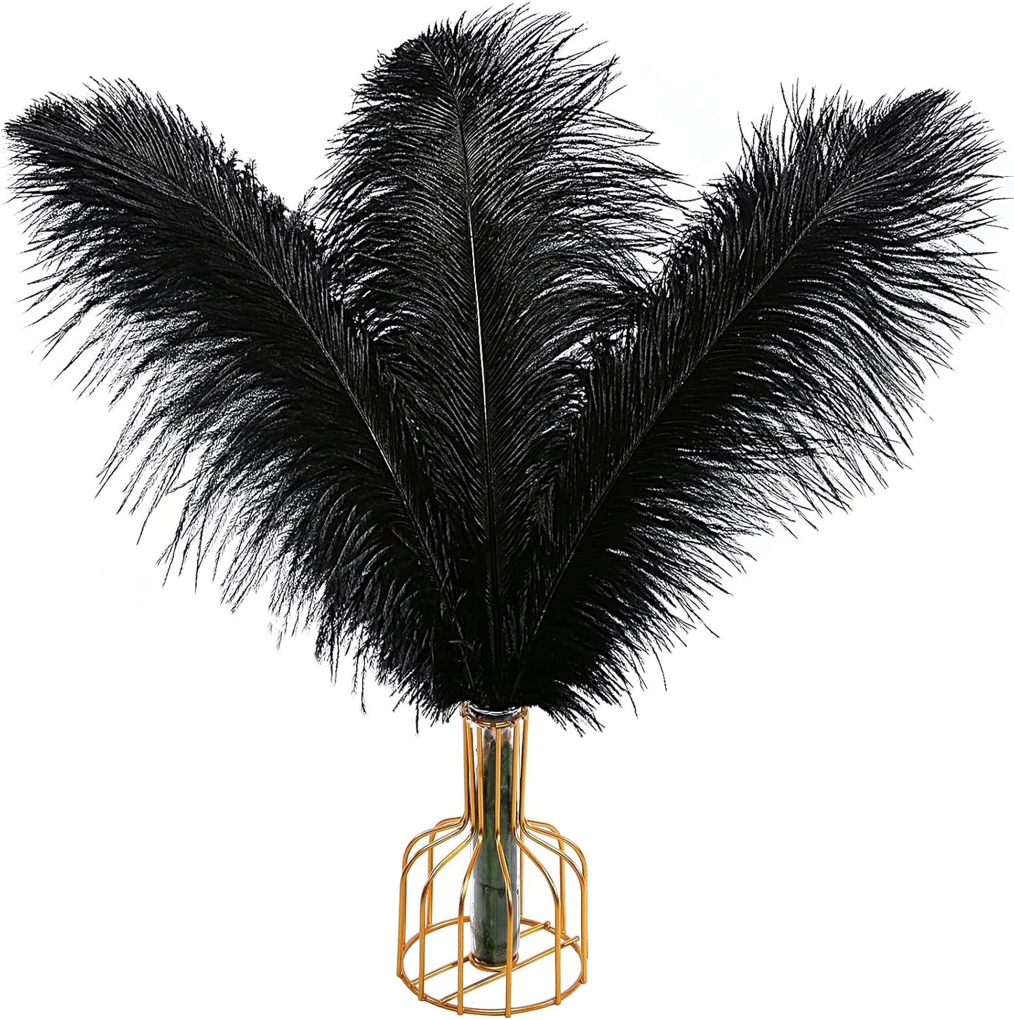 THARAHT Black Ostrich Feathers 12pcs Large Natural Bulk 20-22Inch 50cm-55cm for Wedding Party Centerpieces Halloween and Home Decoration Feathers