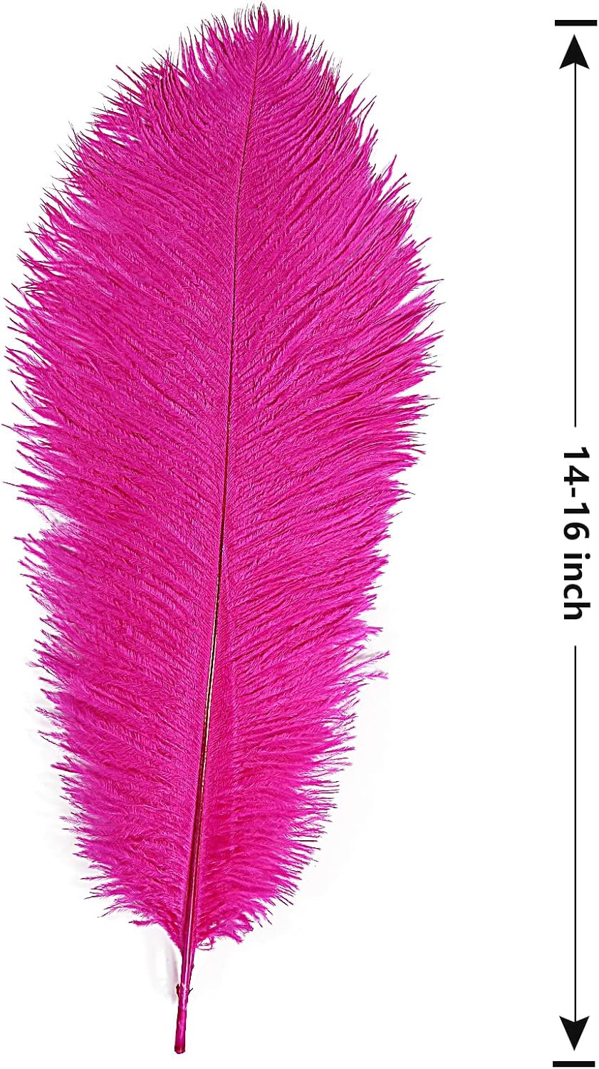 THARAHT 12pcs Hot Pink Ostrich Feathers Natural Bulk 14-16Inch 35cm-40cm for Wedding Party Centerpieces Easter Gatsby and Home Decorate Ostrich Feathers