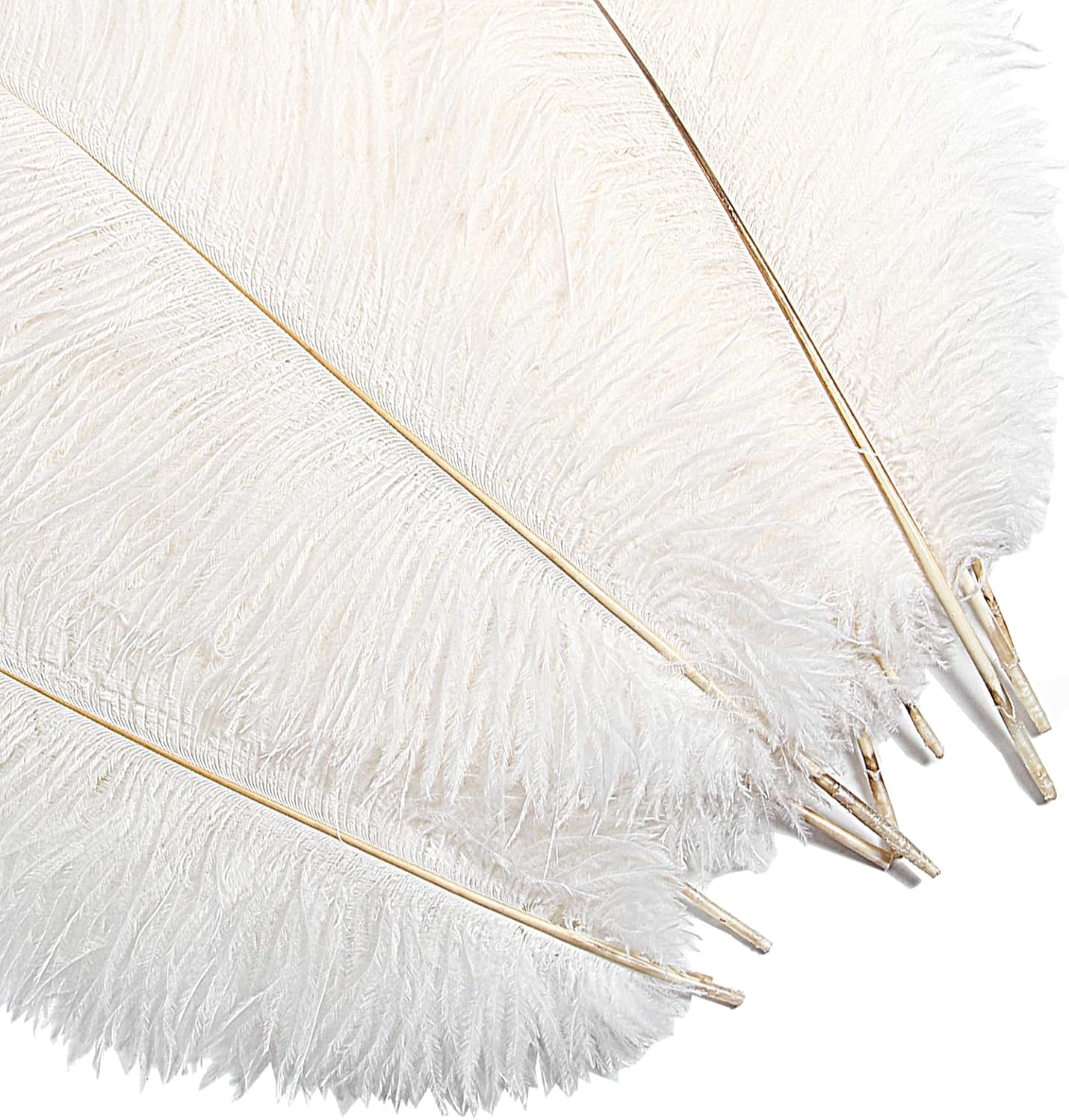 Bulk White Ostrich Feathers - 12pcs 12-14inch Crafting Supplies for Centerpiece Table Decorations