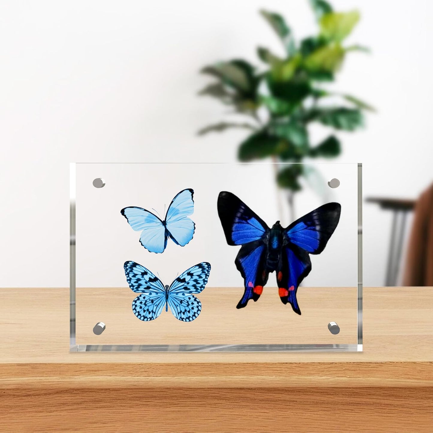 4x6 Inches Acrylic Picture Frames 1 Pack, Double Sided Magnetic Photo Frames,Free Standing on Desk or Table Clear Picture Frames