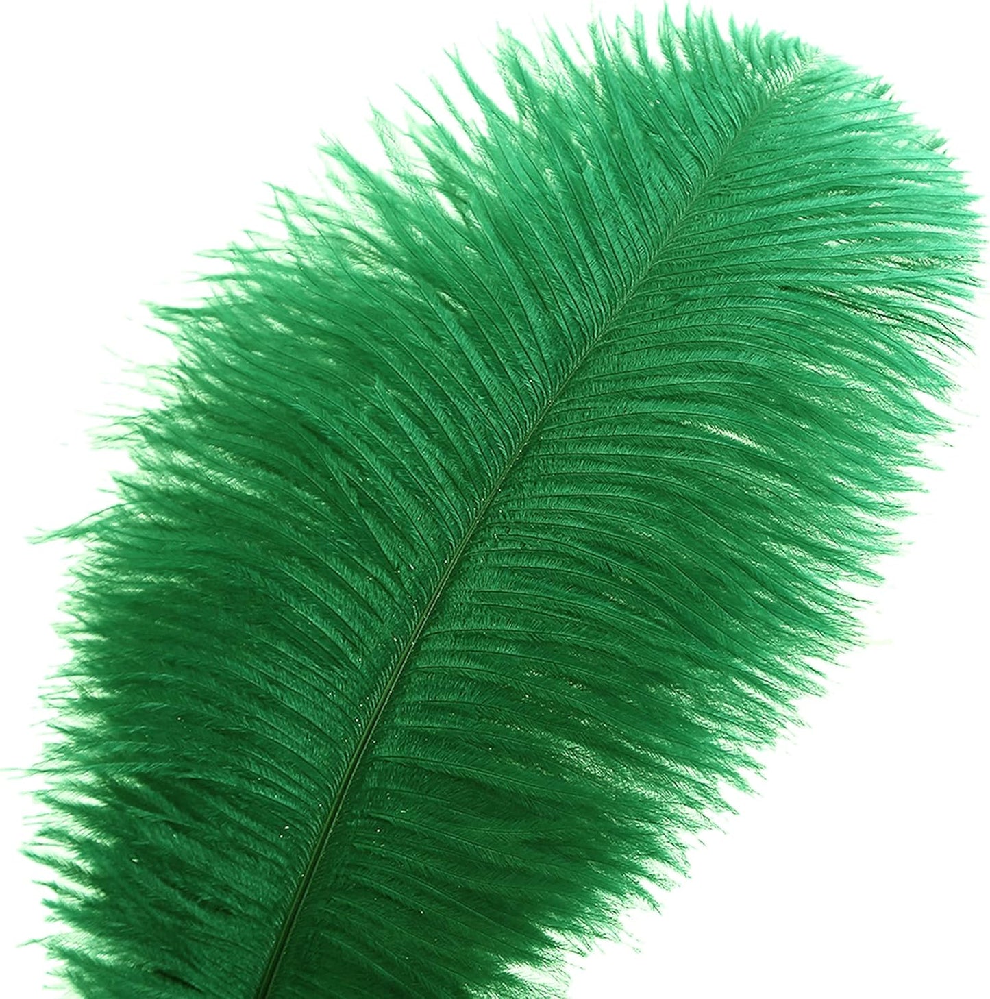 Ballinger Craft Green Ostrich Feathers - 24pcs 8-10inch Feathers for Vase, Wedding Party Centerpieces Mardi Gras Decorations and Home Decor…