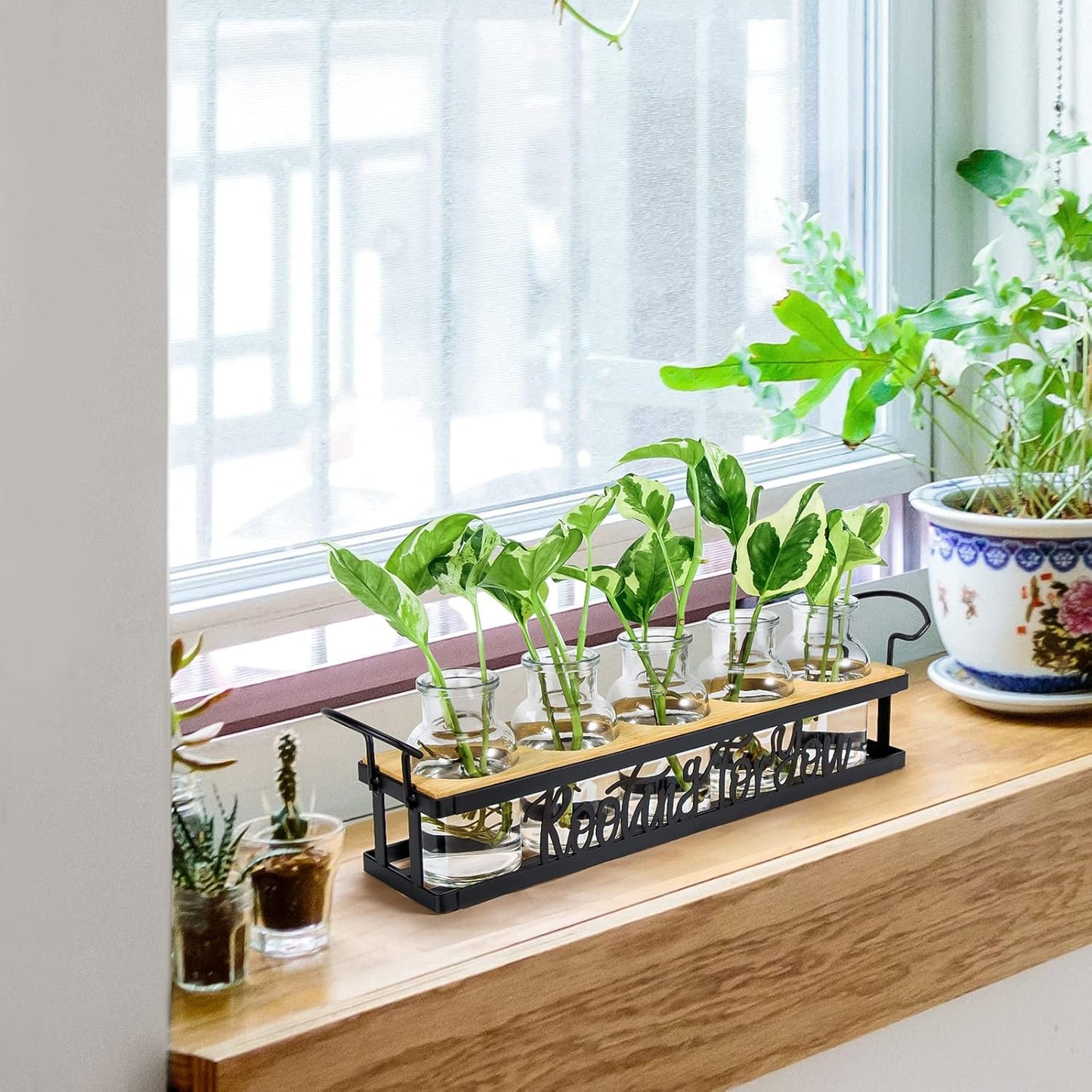 THYGIFTREE Plant Propagation Stations, Mothers Day Plant Lover Gifts for Mom Women Rooting for You Propagate Jars for Hydroponic Cuttings Propagating Vase