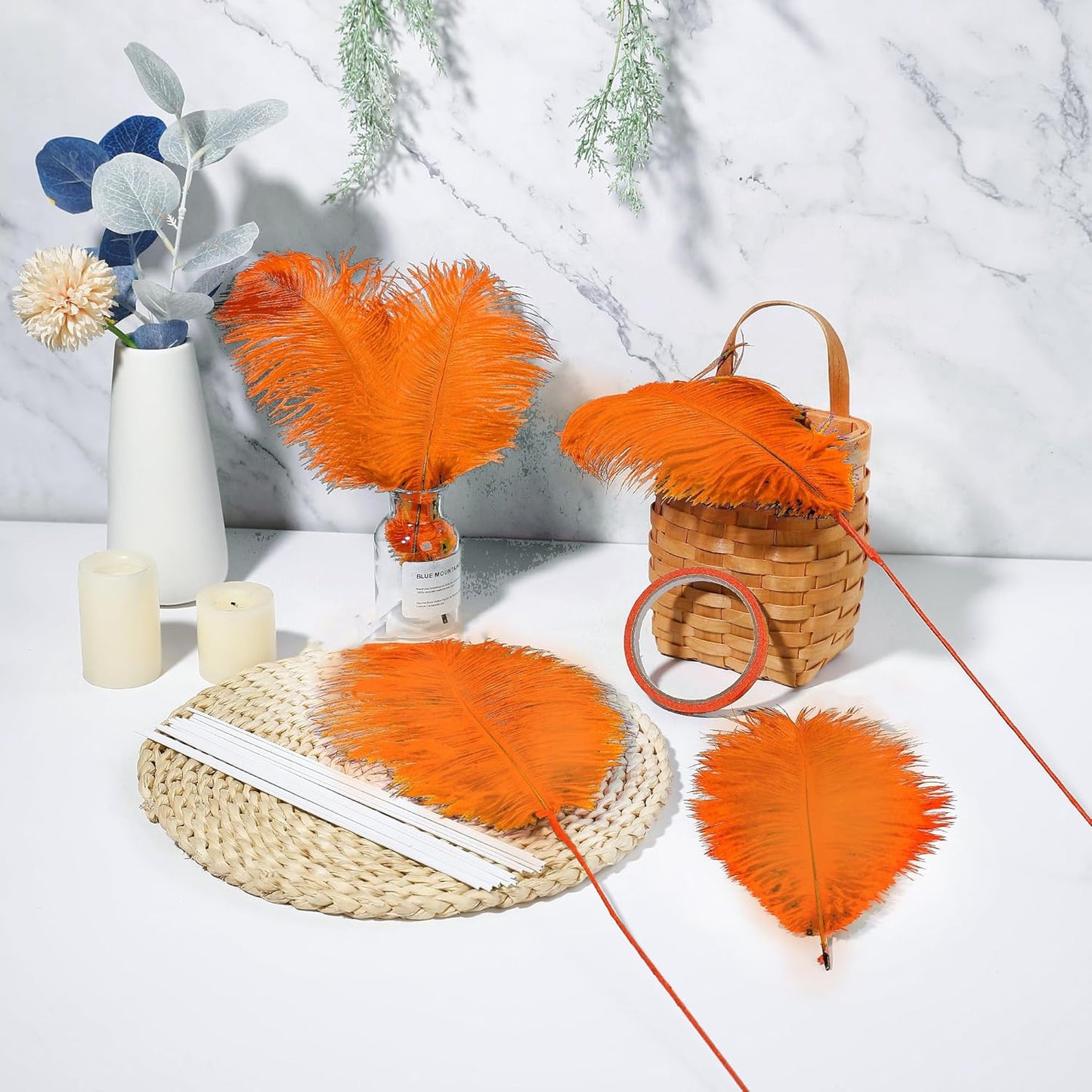 Holmgren Orange Ostrich Feathers Bulk - 20pcs Making Kit 22 Inch Ostrich Feathers for Vase, Floral Arrangement, Wedding Party Centerpieces and Halloween Home Decor (Orange)