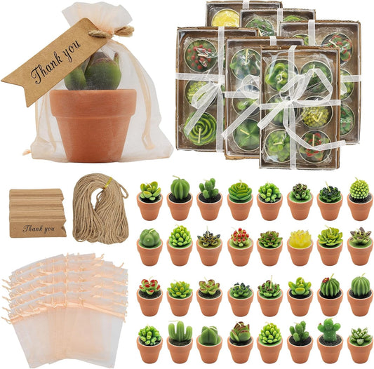 AZEAM 36 Pcs Succulent Candles Party Favors, Bulk Cactus Table Decor with Mini Terracotta Holders, Tiny Handmade Plant Tealights Candle Decoration for Baby Shower Bridal Game Wedding Home Birthday