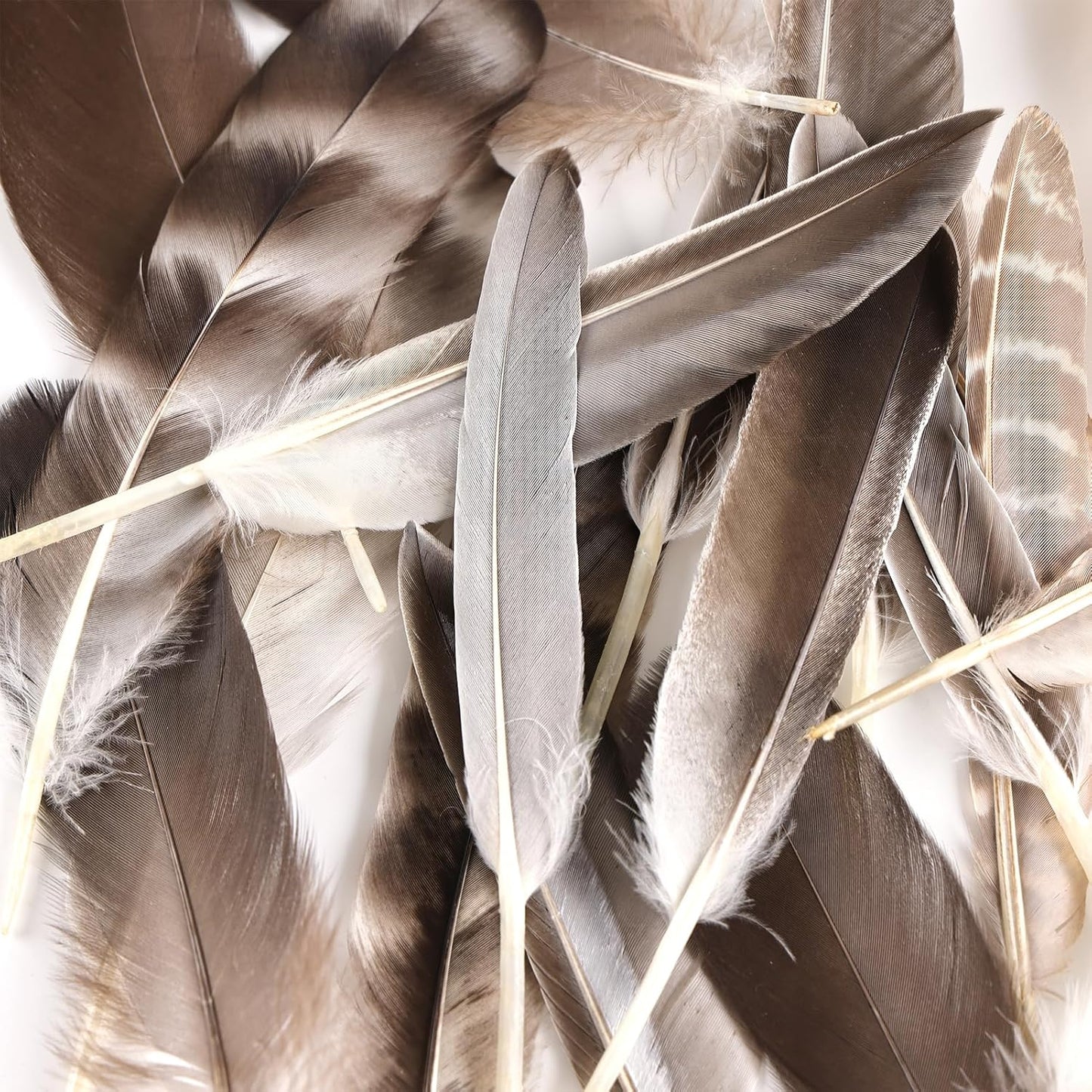 MAOFENG 20pcs Natural Pheasant Feathers 5 Styles 5-9 inches 13-23cm for DIY Craft Wedding Home Party Hat Floral Arrangements Halloween Decorations