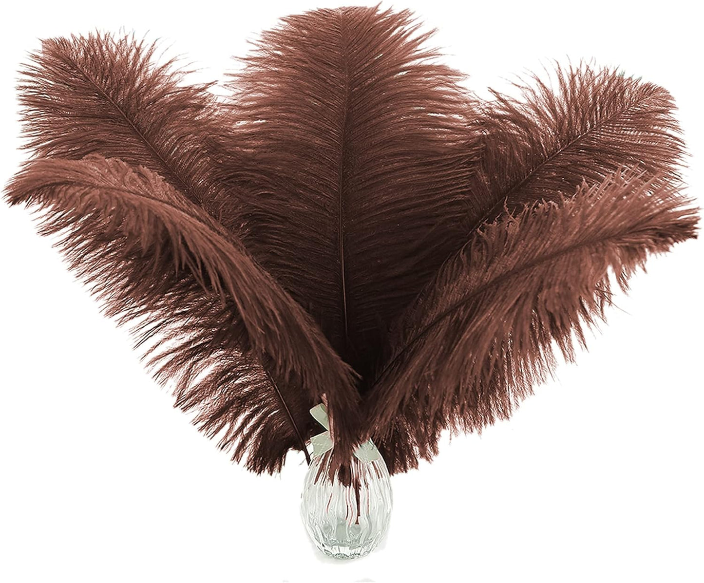 Ballinger Brown Big Ostrich Feathers - 24pcs 12-14inch Large Feathers for Party Centerpieces, Flower Arrangement and Home Decor