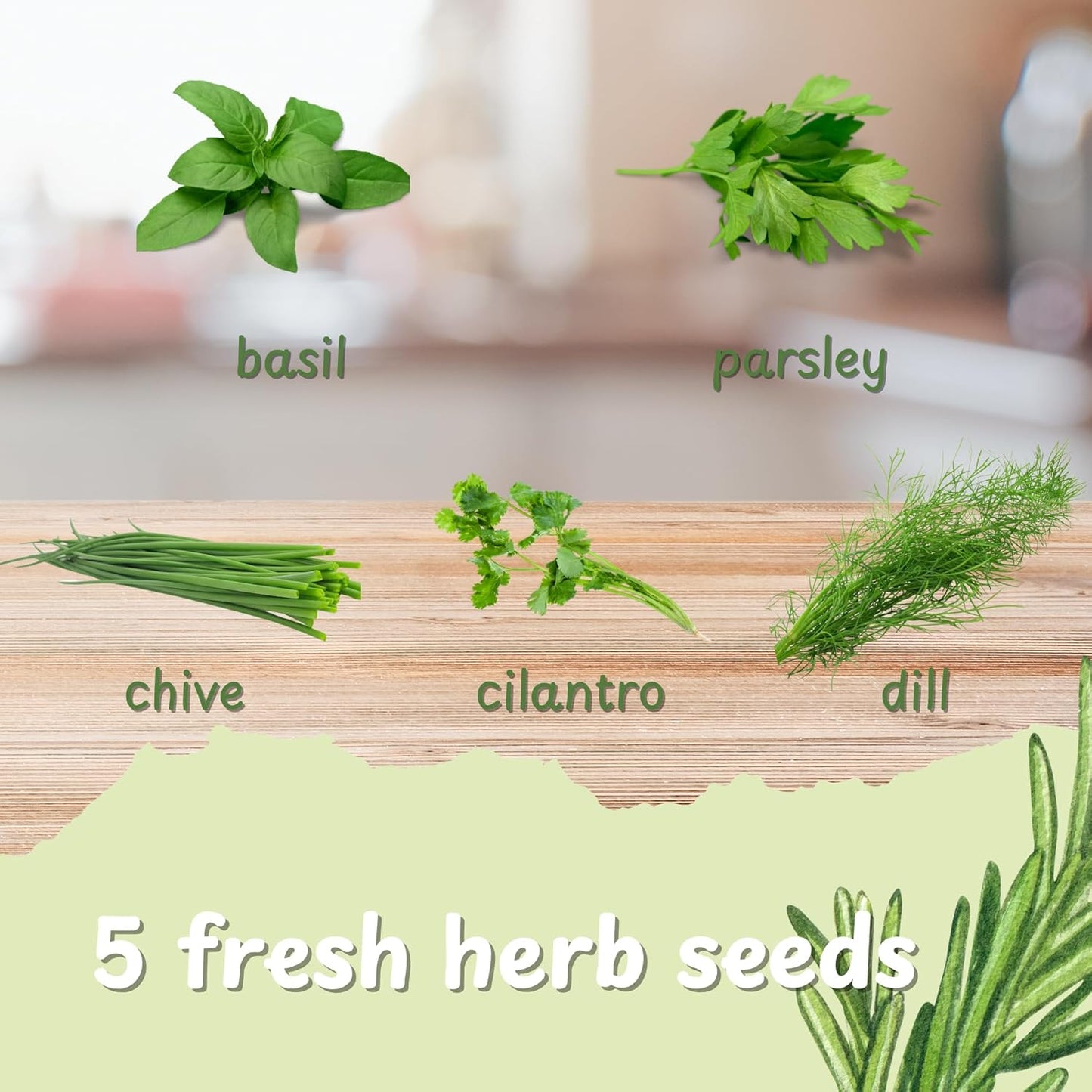 5 Herb Indoor Garden Kit-Burlap Pots, Organic Seeds & Complete Growing Herb Garden Set, Easy Kitchen Garden, Unique Seeds Starter kit, Basil, Parsley, Chives, Cilantro, Dill