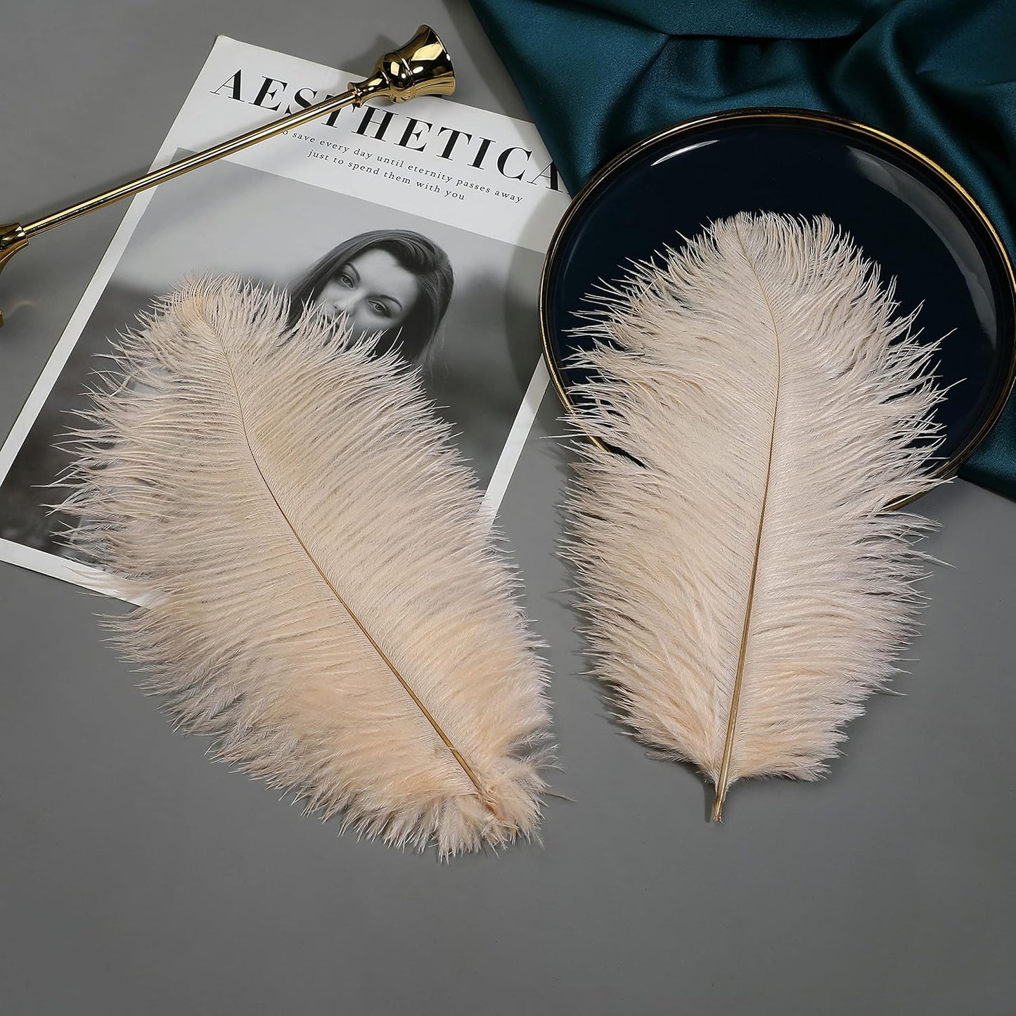 Ballinger Light Salmon Ostrich Feathers - 24pcs 10-12inch Feathers for vase，Wedding Party Centerpieces and Home Decor