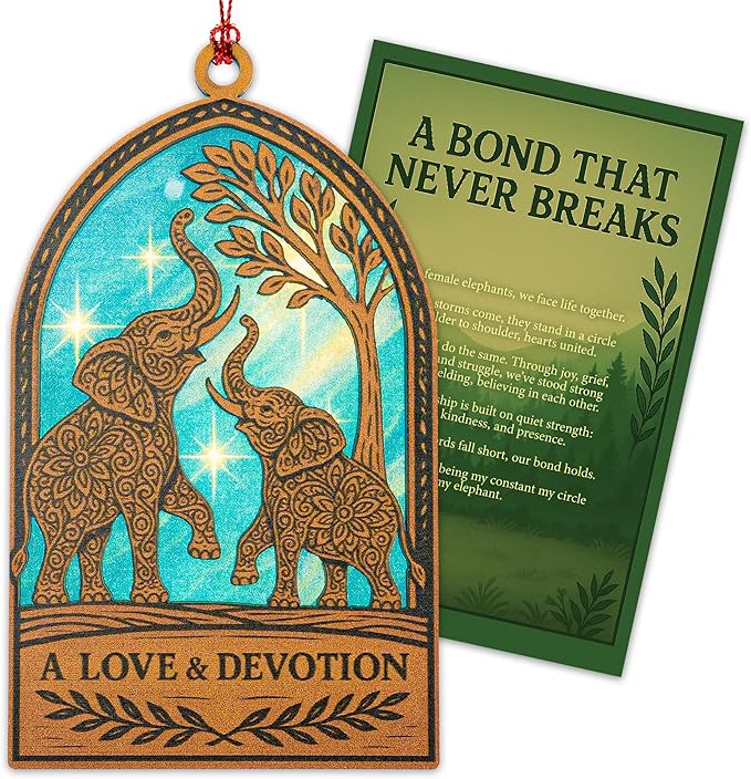 Friend Ornament Friendship Ornament + Friend Gifts for Women – Christmas Ornament 2025 – White Elephant Gifts - Xmas Tree Funny Decoration Decoration