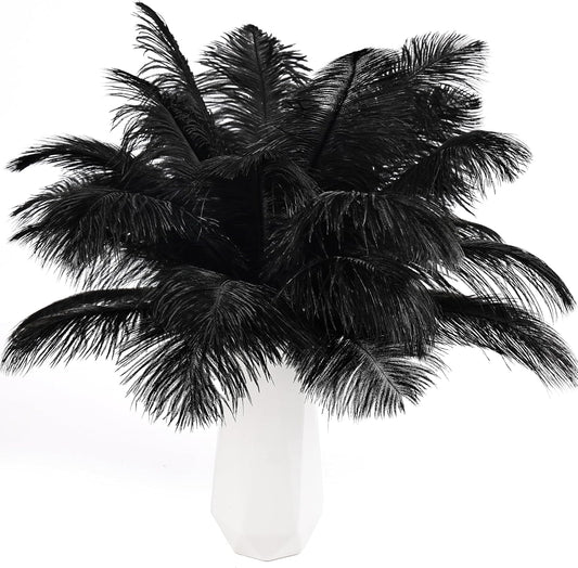 THARAHT Black Ostrich Feathers 24pcs Natural Bulk 10-12Inch 25cm-30cm for Crafts Wedding Party Centerpieces Halloween and Home Decoration Feathers