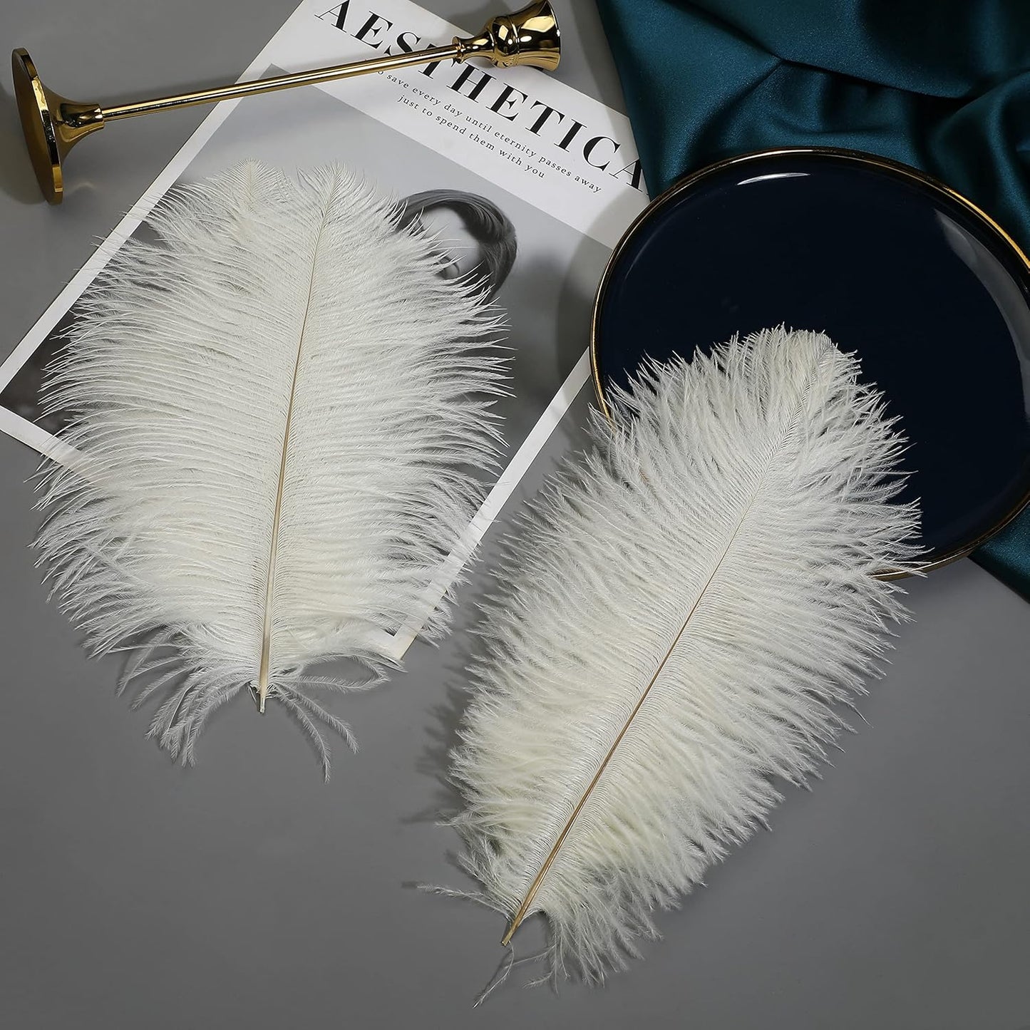 Ballinger Beige Big Ostrich Feathers - 12Pcs 14-16inch Large Ostrich Feathers for Vase,Wedding Party Centerpieces and Holiday Home Decor