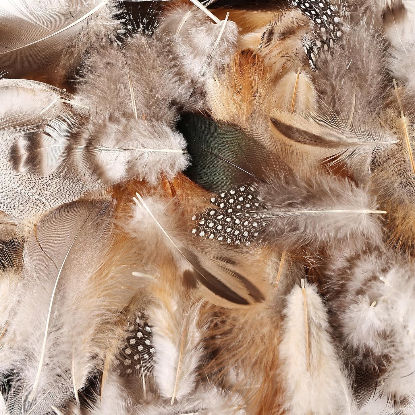 MAOFENG 270pcs 9 Styles Natural Bulk Feathers Assorted Mixed Feathers for DIY Crafts Dream Catcher Wedding Hair Hats Decoration, Guinea Fowl Feathers