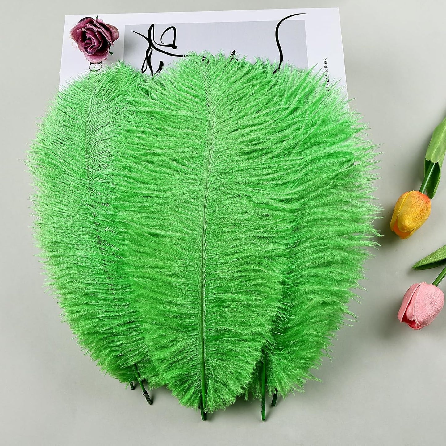 THARAHT Green Ostrich Feathers 24pcs Natural Bulk 8-10Inch 20cm-25cm for Crafts Wedding Party Centerpieces Mardi Gras and Home Decoration Feathers