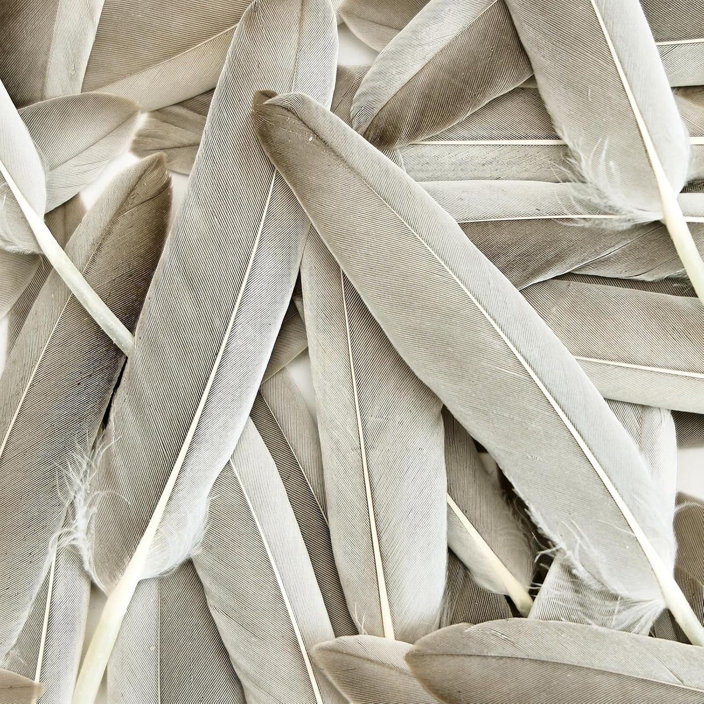 FeelfunFeather 120pcs Natural Gray Goose Cochettes Feathers Bulk 4-6 inches 10-15cm for Wedding Party Christmas Halloween Decorations DIY Crafts