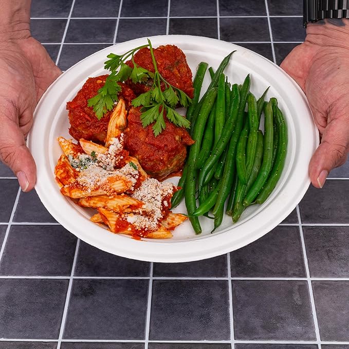 9-Inch 125-Pack Disposable Bagasse Paper Plates, Styro Foam Food Trays, Microwave Safe Meal Plates for Holidays, Party Favors & Events, Bulk