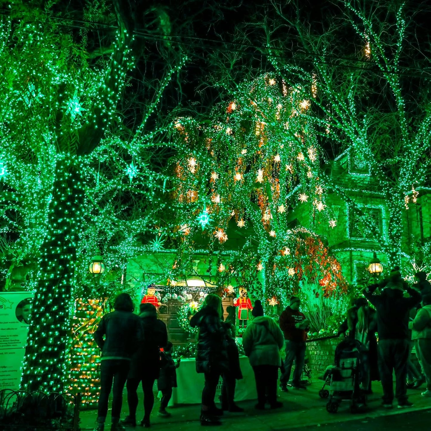 Dazzle Bright Fairy Lights Battery Operated, 20 FT 60 LED Silver Wire St. Patrick's Day Waterproof Battery Operated String Lights, Christmas Decorations for Indoor Outdoor Bedroom Yard Decor, Green