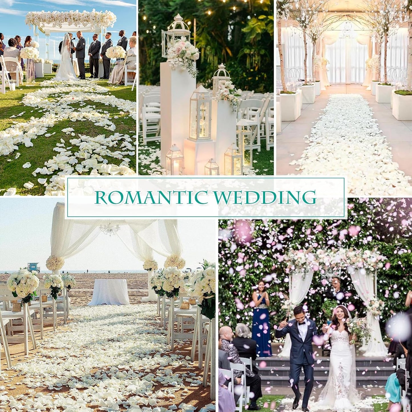 Dried Real White Rose Petals, Freeze Preserved Flower Petals 1.75oz for Valentine's Day Gifts Wedding Party Decor, Flower Girl, Dinner table Centerpieces, Bridal Shower, Flower Confetti 50g